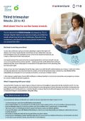 Third trimester (weeks 29 to 40)