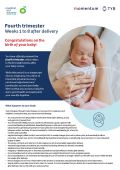 Fourth trimester (weeks 1 to 8 after delivery)